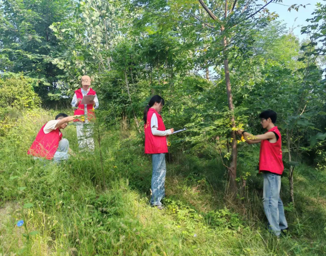 西华县自然资源局积极推进湿地公园生态环境动态科研监测工作