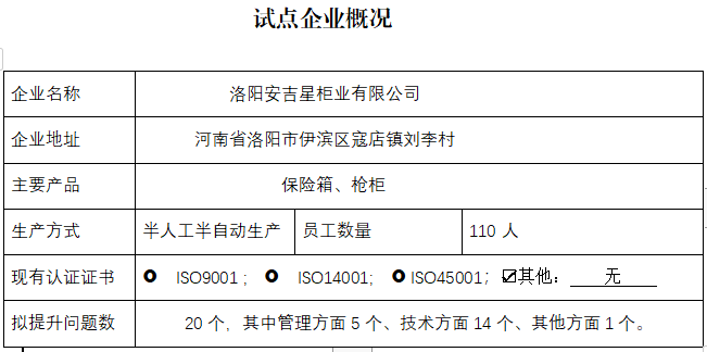 洛阳安吉星柜业有限公司