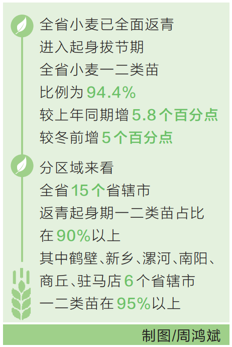 春耕春管上新了丨返青期一二類苗比例超九成 專家建議加強(qiáng)小麥灌溉補(bǔ)墑和病蟲害監(jiān)測