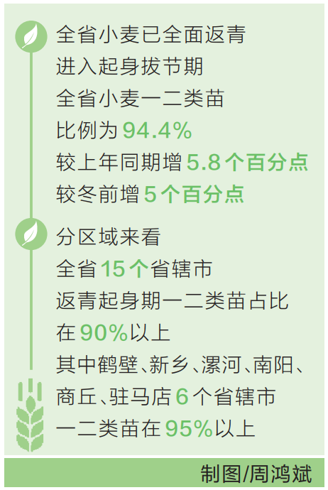 春耕春管上新了丨返青期一二类苗比例超九成 专家建议加强小麦灌溉补墒和病虫害监测