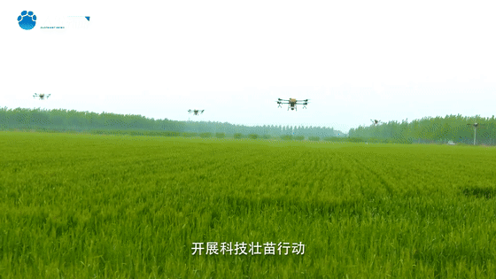 听，风吹麦浪！看，中原大地颗粒归仓！