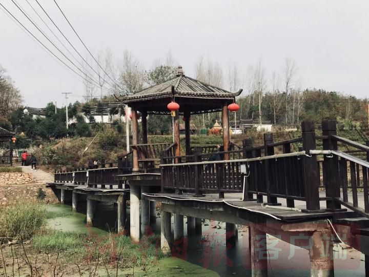 桐柏：“全域党建+旅游”助推乡村振兴