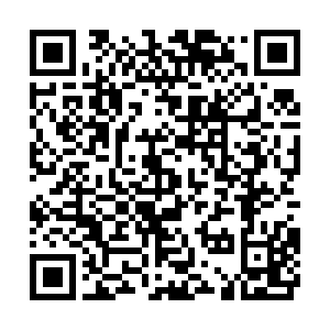 河南省营业性演出准予许可决定（410000522023000206）