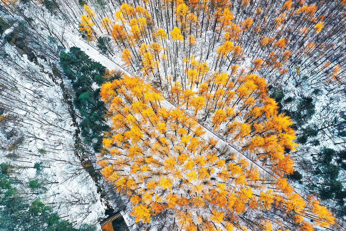 洛阳白云山迎来了一轮降雪