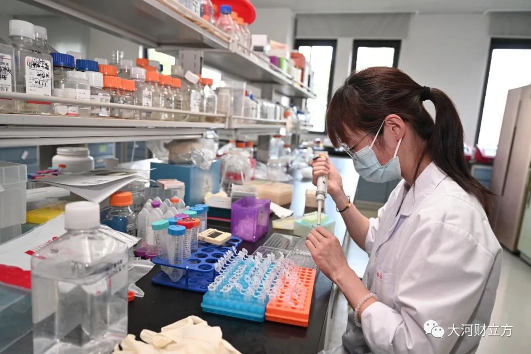 生物经济 豫见未来⑧ | 中国工程院院士张改平：河南正在迎来生物经济发展的最好时期