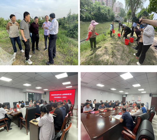 省農(nóng)業(yè)農(nóng)村廳資源利用處及專家團(tuán)隊(duì)赴開封市開展農(nóng)業(yè)外來入侵物種普查工作調(diào)研