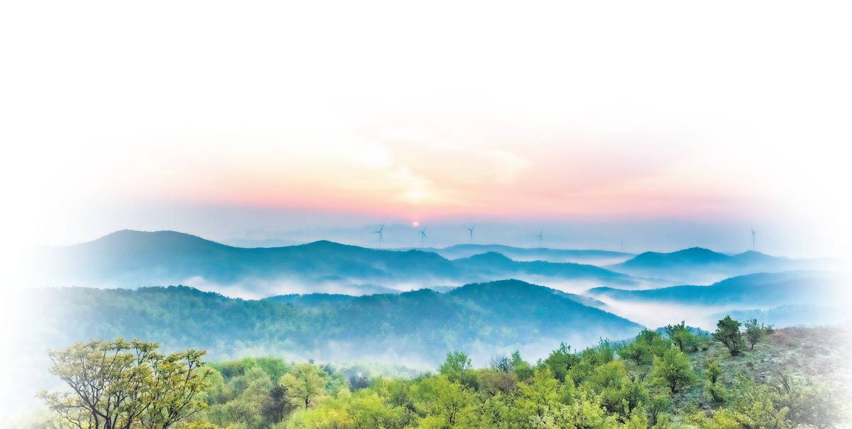 唐河上下好“丰”景 产业富民促振兴