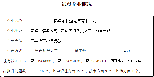 鹤壁市恒通电气有限公司