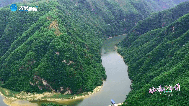 【行走河南·读懂中国】九曲黄河浪淘沙 天鹅蹁跹三门峡
