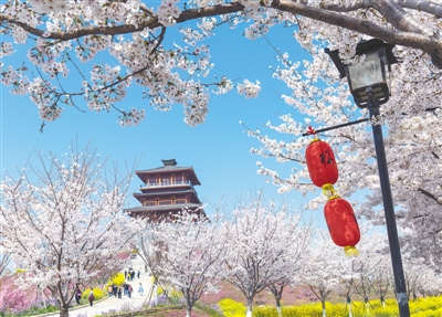 行走河南·读懂中国丨荥阳：小小王村文旅“出圈”