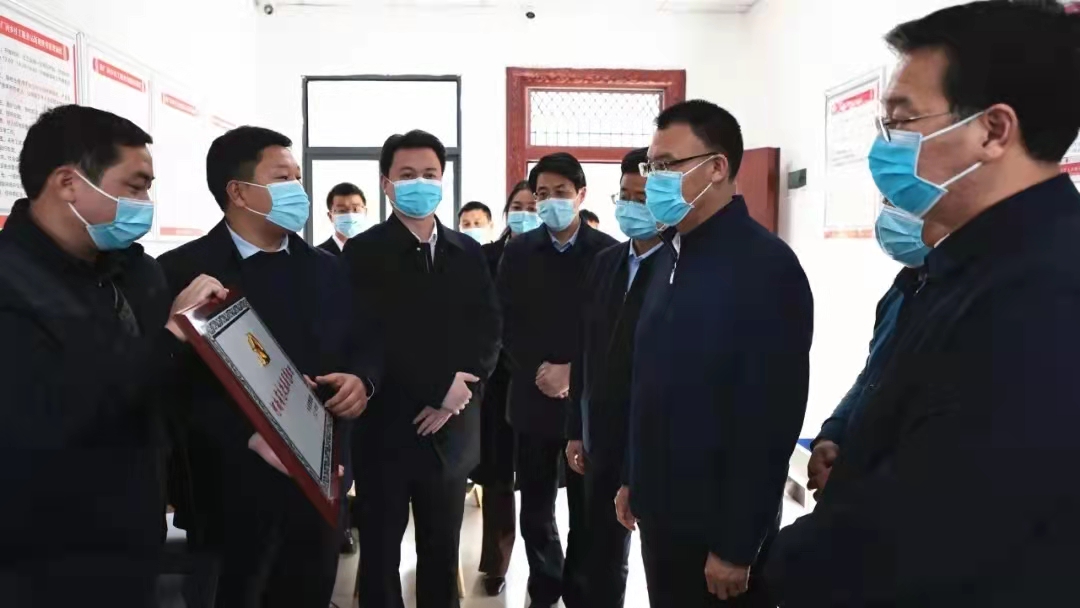 11月9日,省委常委,市委书记王东伟到新县调研巩固拓展脱贫攻坚成果同