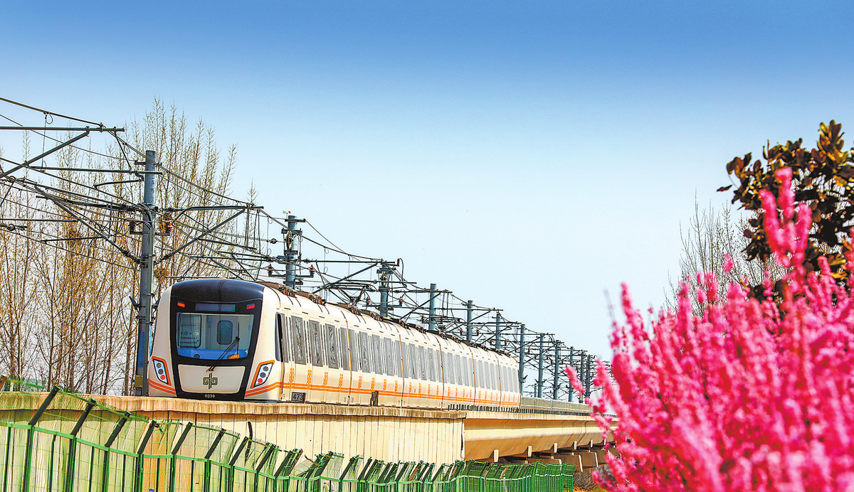 郑州地铁城郊线列车从明媚春光中穿行而过(4月3日摄).