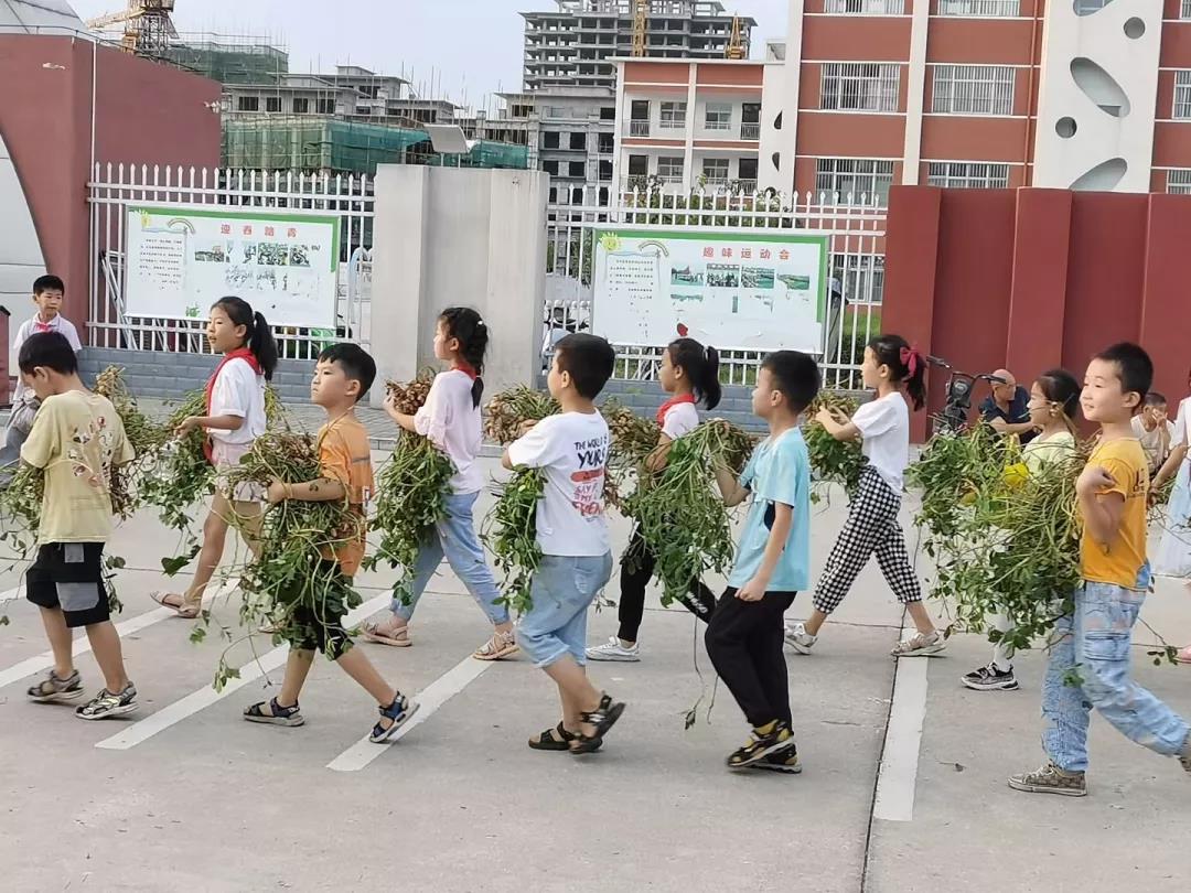 致敬劳动，礼赞丰收