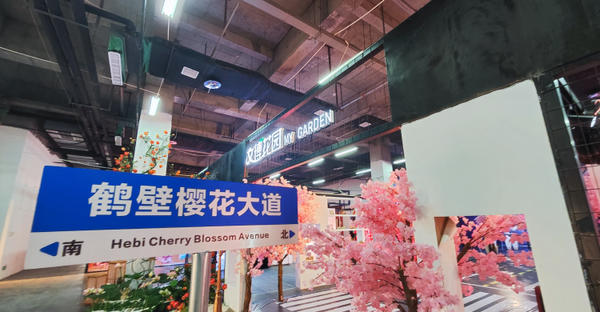 第九届中原（鹤壁）文博会开幕 鹤壁馆鹤舞樱飞等您来“嗨”