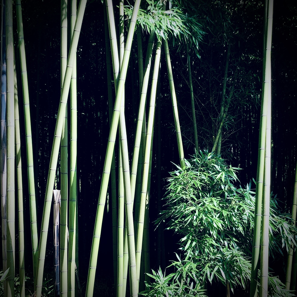 一等獎