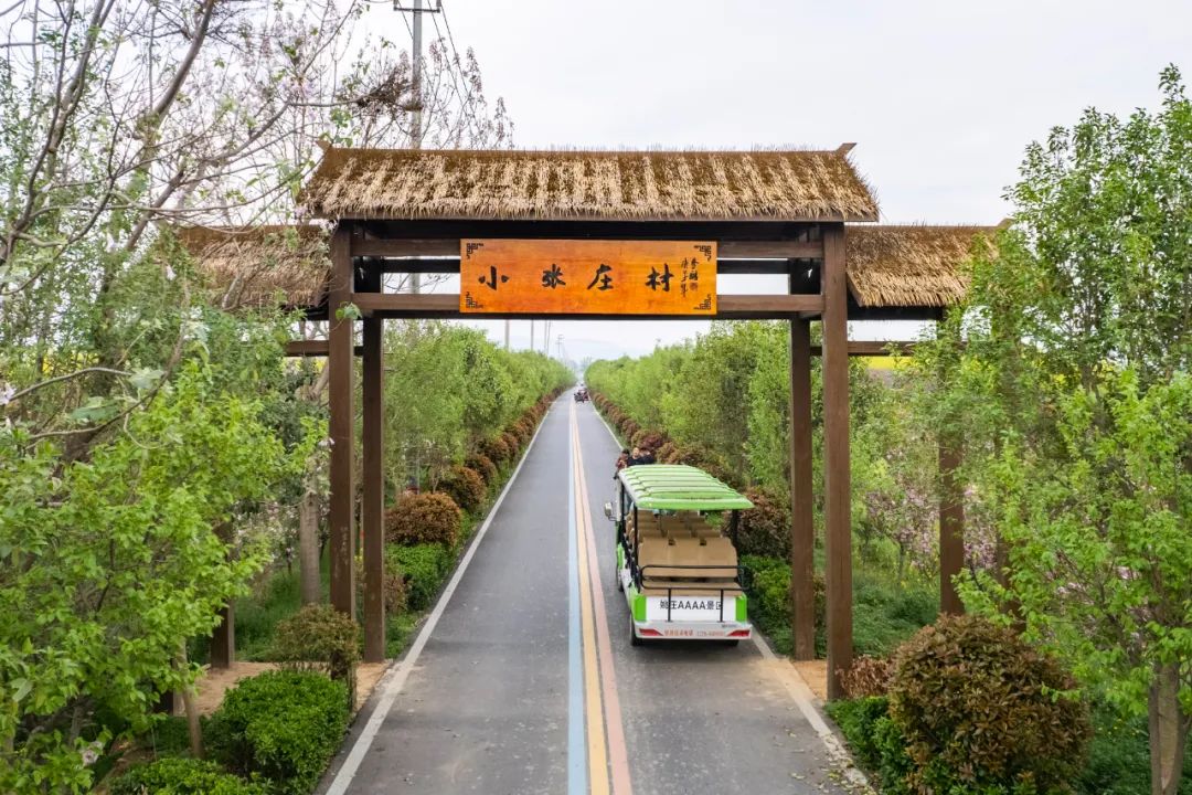 鹰城：古村+旅游，茶食乡村魅力大