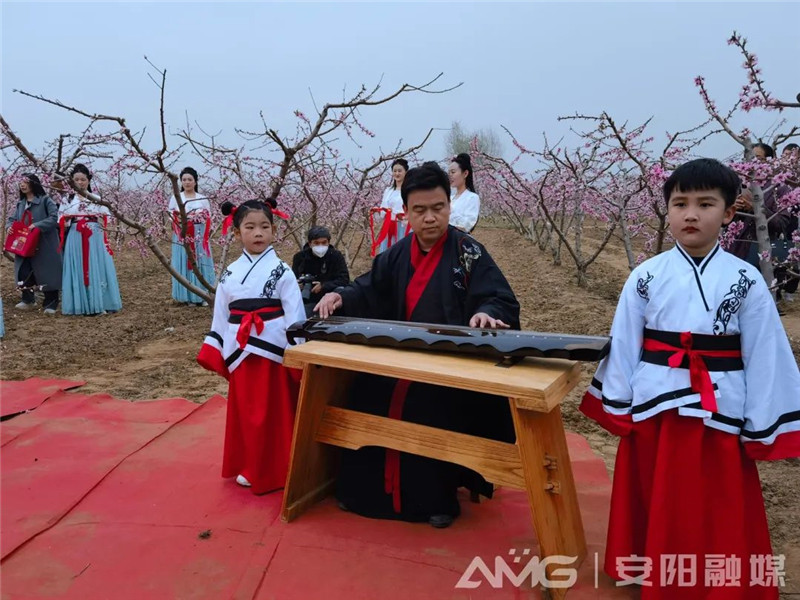 走进安阳内黄豆公桃花节