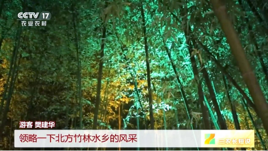 2024率先出彩！焦作博爱西张赶登上央视《新闻联播》