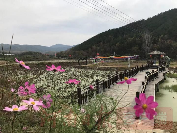 桐柏：“全域党建+旅游”助推乡村振兴