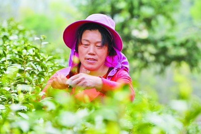 伟大的中国革命锻造崇高的大别山精神