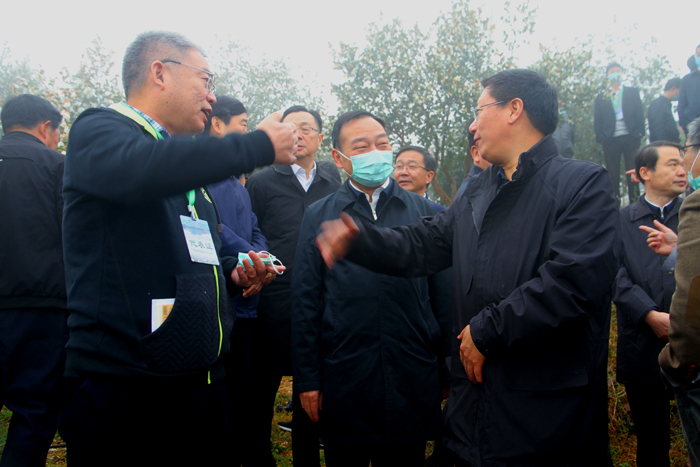 图/文：全国油茶产业发展现场会在光山召开   