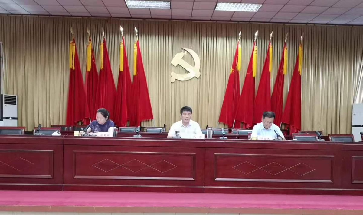 汤阴县召开2021年政务公开工作 推进会暨培训会