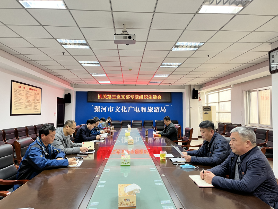 漯河市文广旅系统各党支部召开专题组织生活会