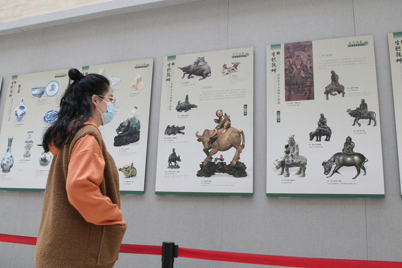 “牛转乾坤——辛丑（牛年）新春生肖文物联展”开展