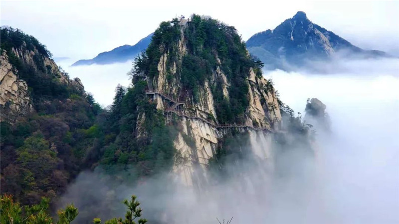 免票、半价 洛阳多景区发布惠民福利