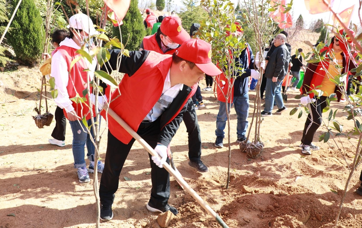 省事管局开展义务植树志愿服务活动