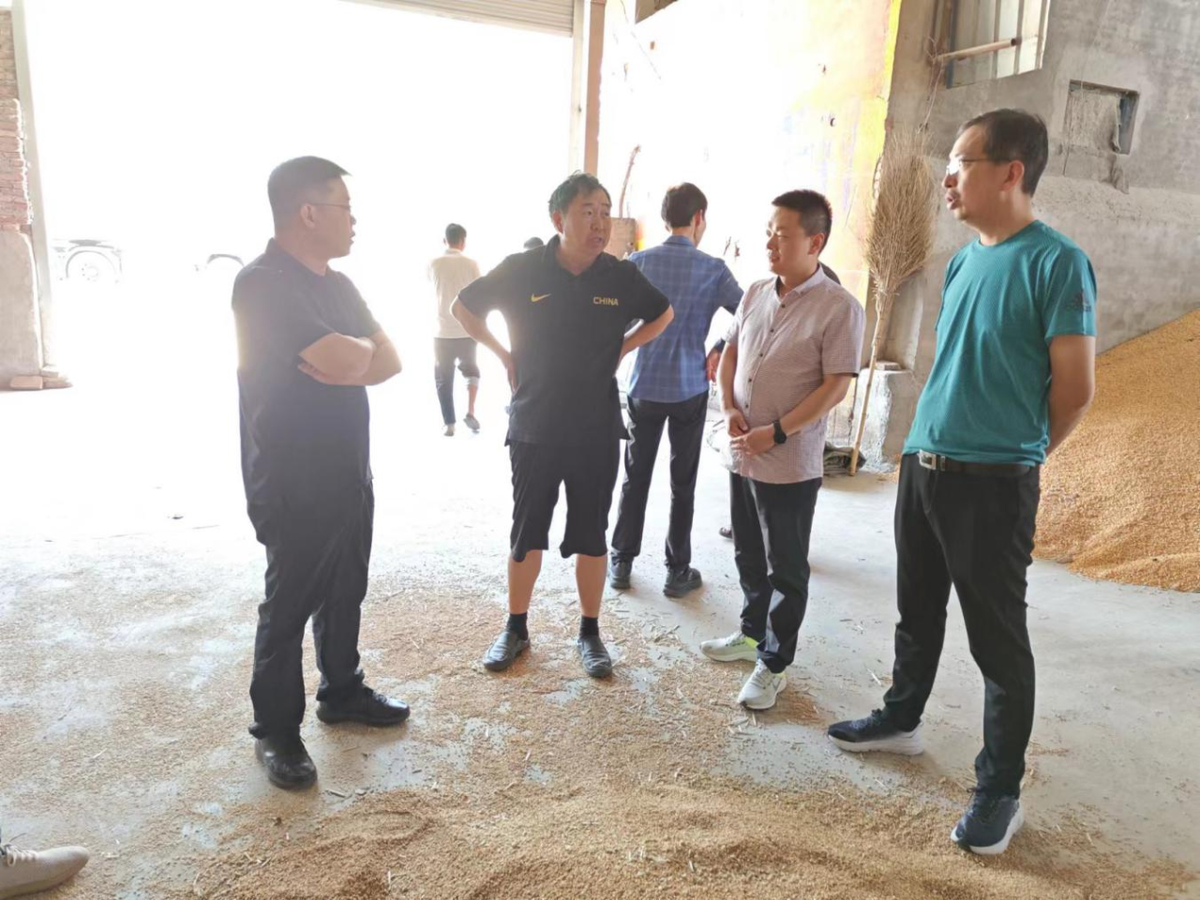 河南省食检院全力护航夏粮收购质量安全