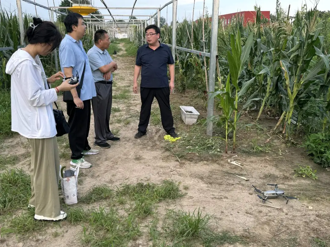 林业科技特派员服务团赴上蔡丁赵社区开展智慧果园建设调研