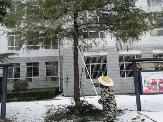 雪中人