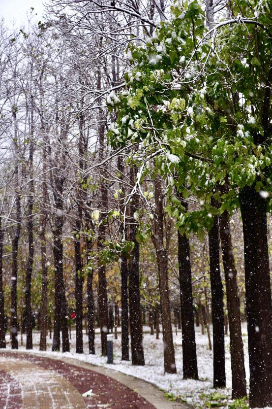 吉林工商学院雪景图片