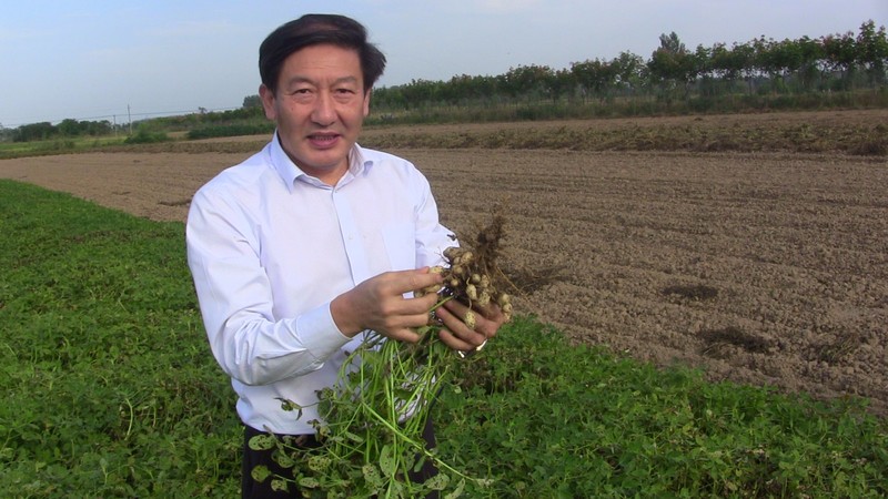 今年河南秋作物预计种植面积1.18亿亩左右