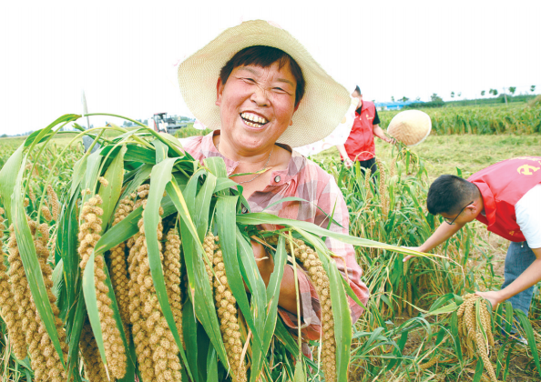 丰收喜悦之情溢于言表