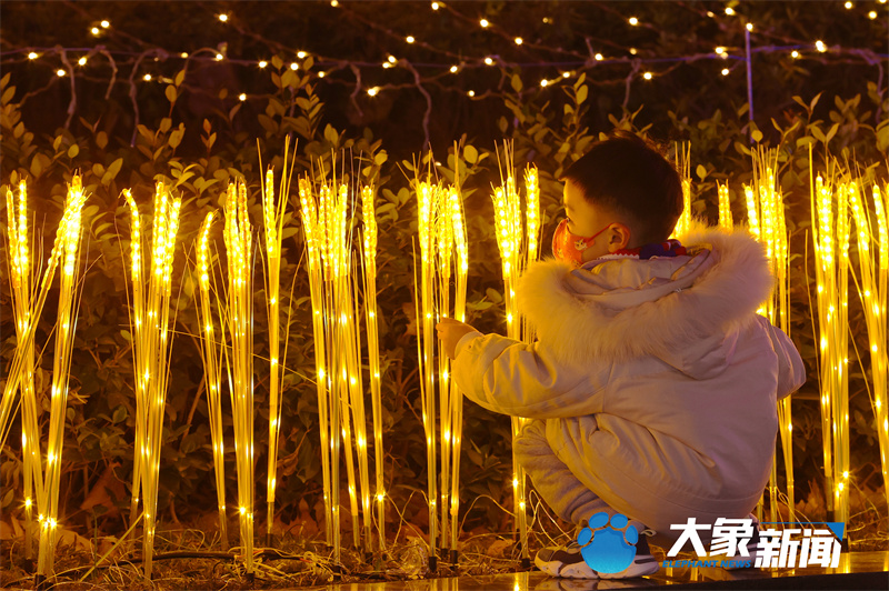 行走河南·读懂中国丨感受郑州街头“闪闪”的年味