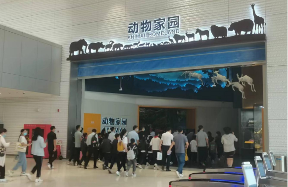 【新闻稿】省发改委“蒲公英”青年博士团与兰考付楼小学开展手拉手走进省科技馆研学活动20220913864.png
