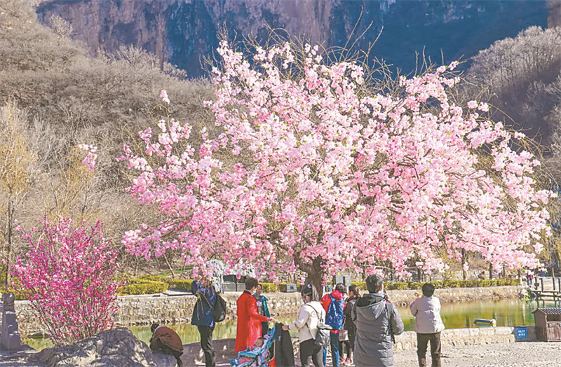 行走河南·读懂中国丨云台山：不负良辰美景，共赴春日花宴