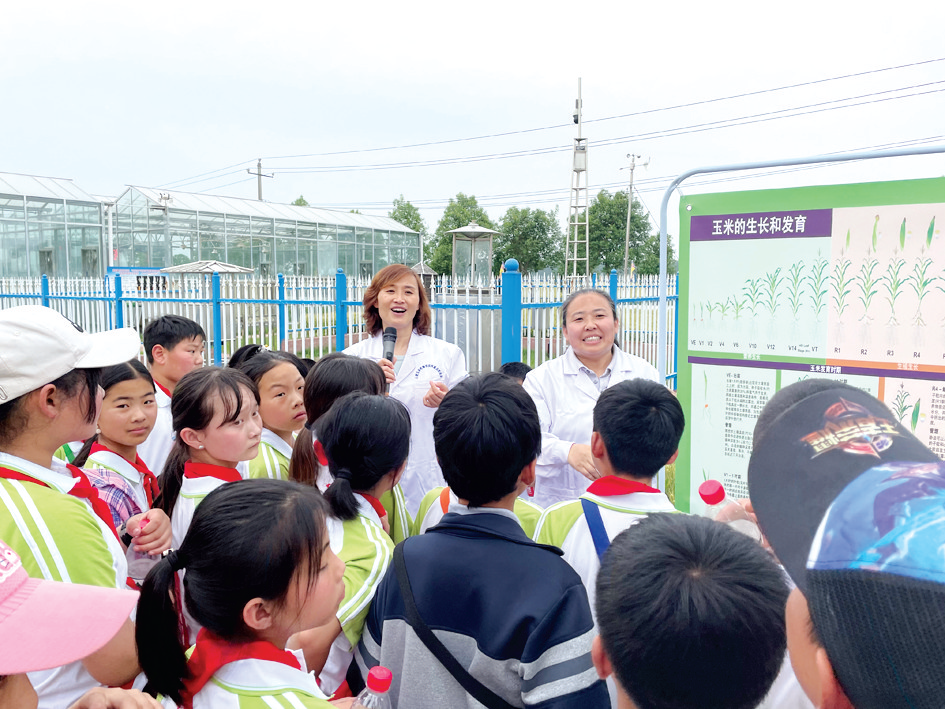 奋进新征程 建功新时代·非凡十年 出彩中原 创新河南 | 破译丰收“密码” 做强粮食“芯片”