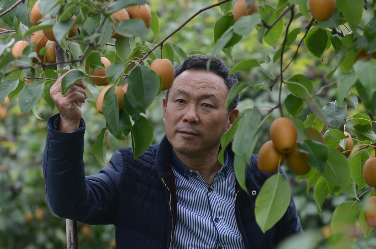 2019年“出彩河南人”之首届最美退役军人—李应贤