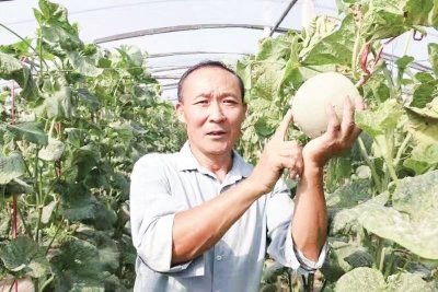 许昌市建安区 “星级农场”托起乡村振兴希望