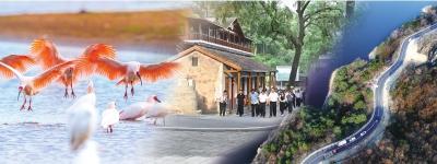 罗山县以交旅融合助力全域旅游示范区创建走笔