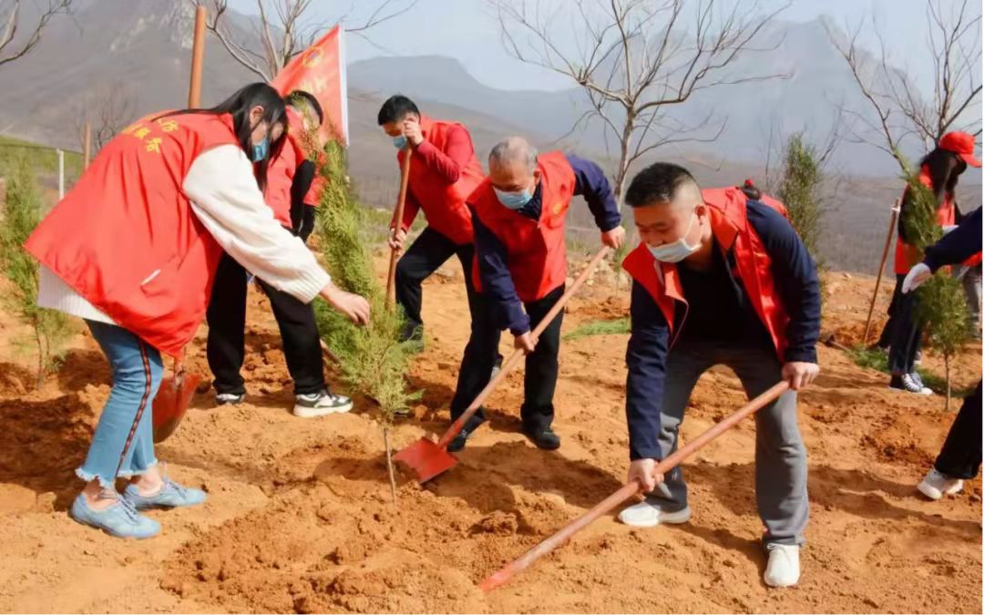 植树添绿 党旗增辉——省人防办开展义务植树活动