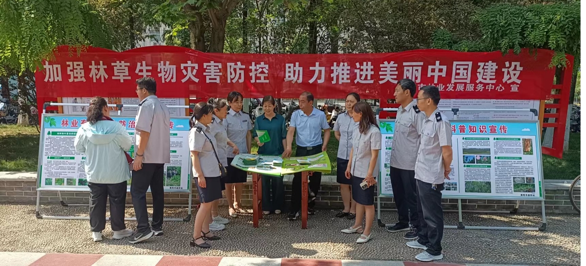 南阳市林业局开展林草生物灾害防控宣传活动