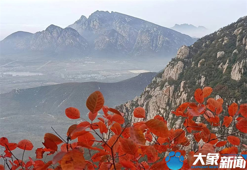 【行走河南·读懂中国】<br>嵩山：漫山红叶正当时 屏赏万里醉人秋色