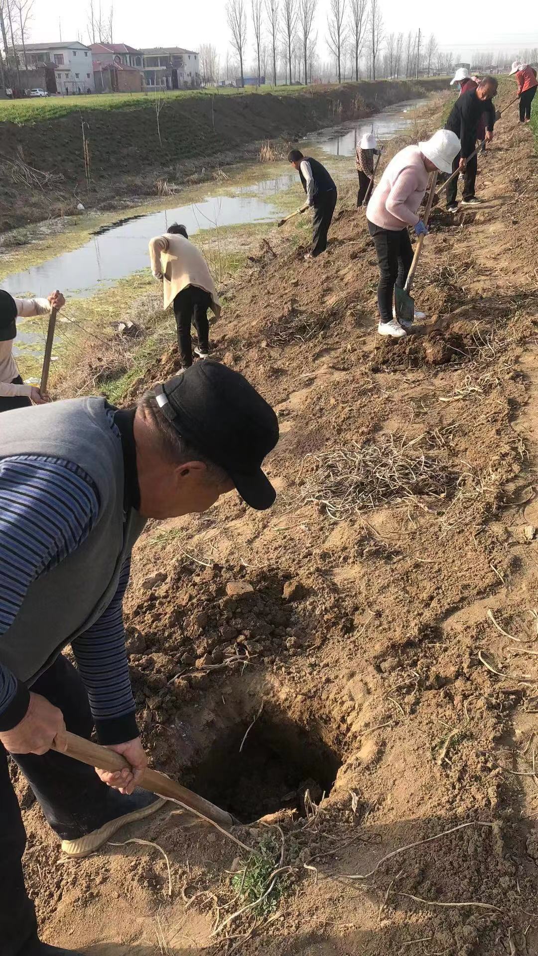 省林业局驻村工作队在上蔡县丁赵社区开展植树活动