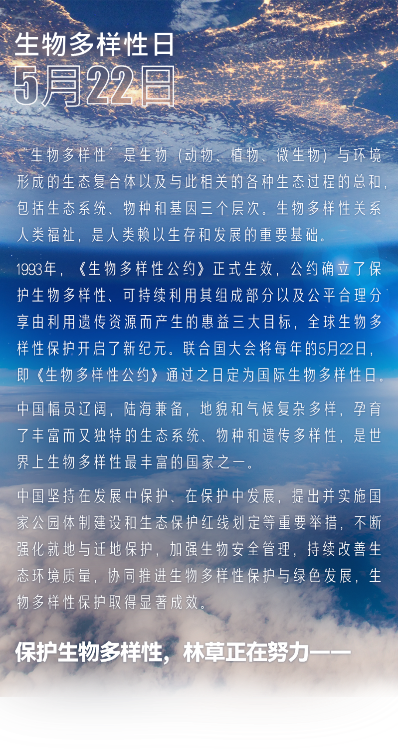 國際生物多樣性日|為所有生命構(gòu)建共同的未來 國際生物多樣性日|為所有生命構(gòu)建共同的未來