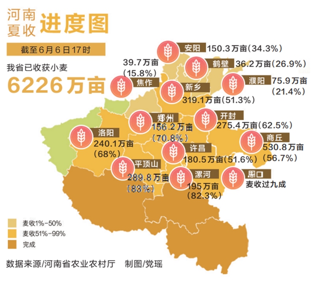 全力以赴战“三夏”丨全力抢收百万亩“延津小麦”