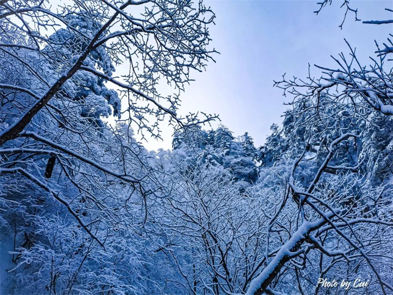 洛阳白云山开园倒计时2天